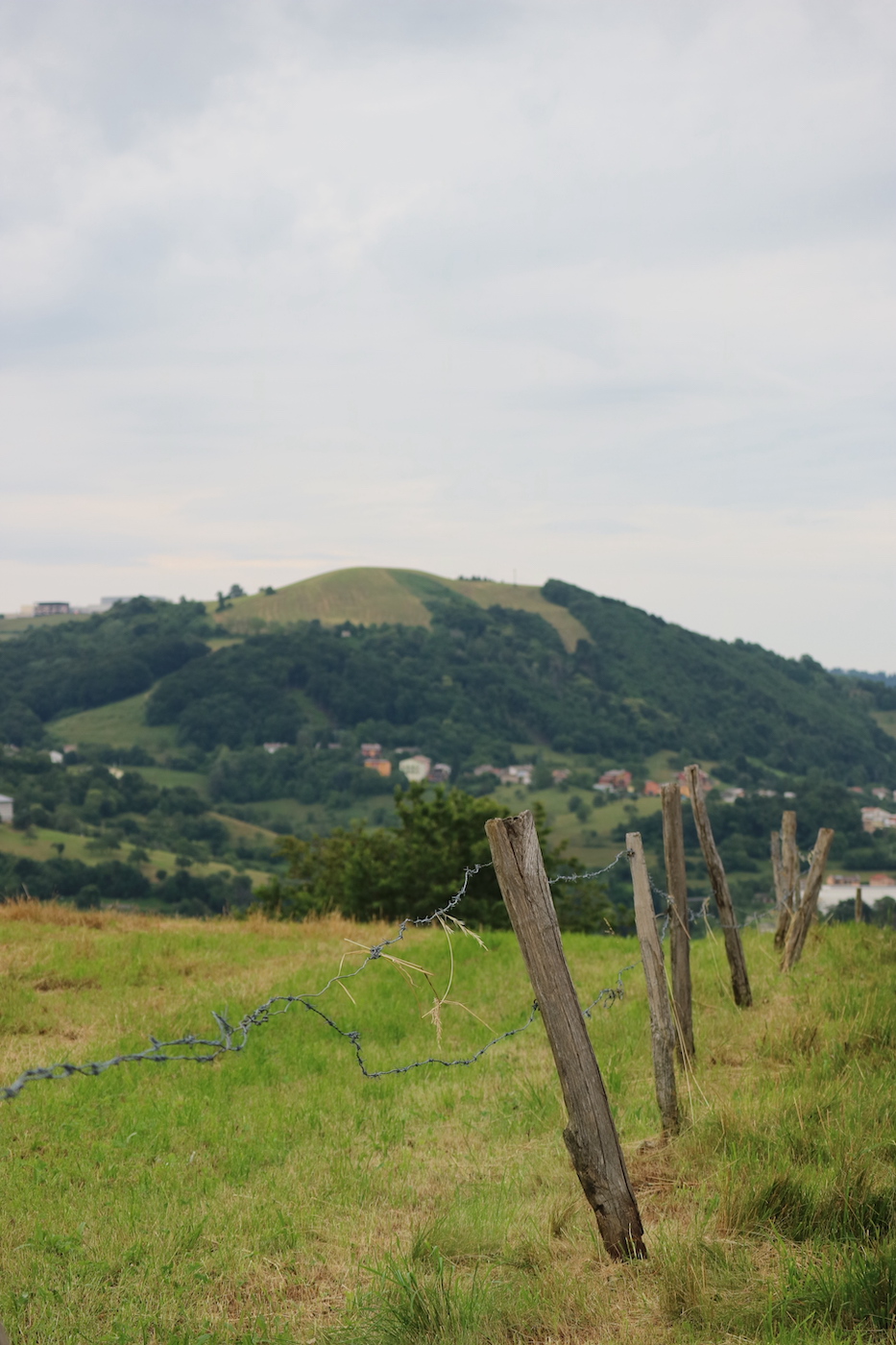 Trekking, walks and panoramic trails